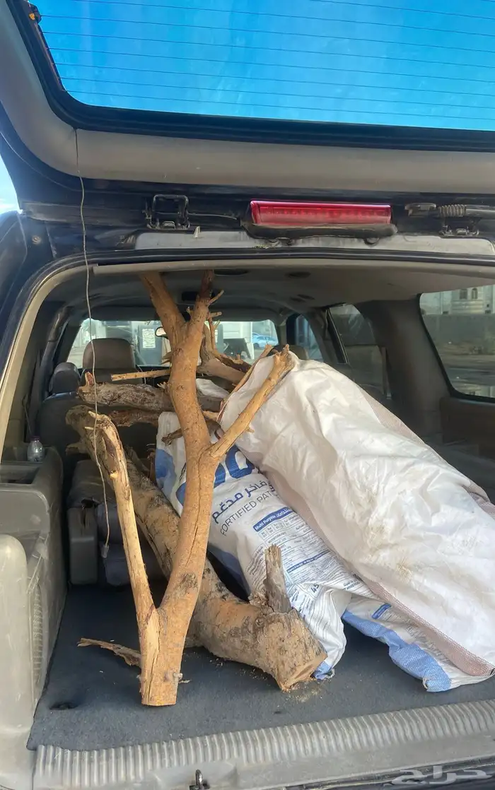 لوحة س م ر 1000 منقوله لينبع 0