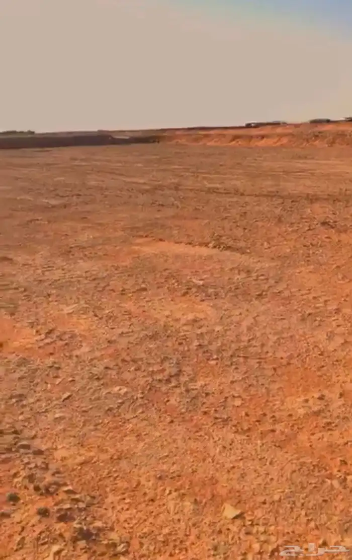 عقم للبيع قصيعه الخرج 0