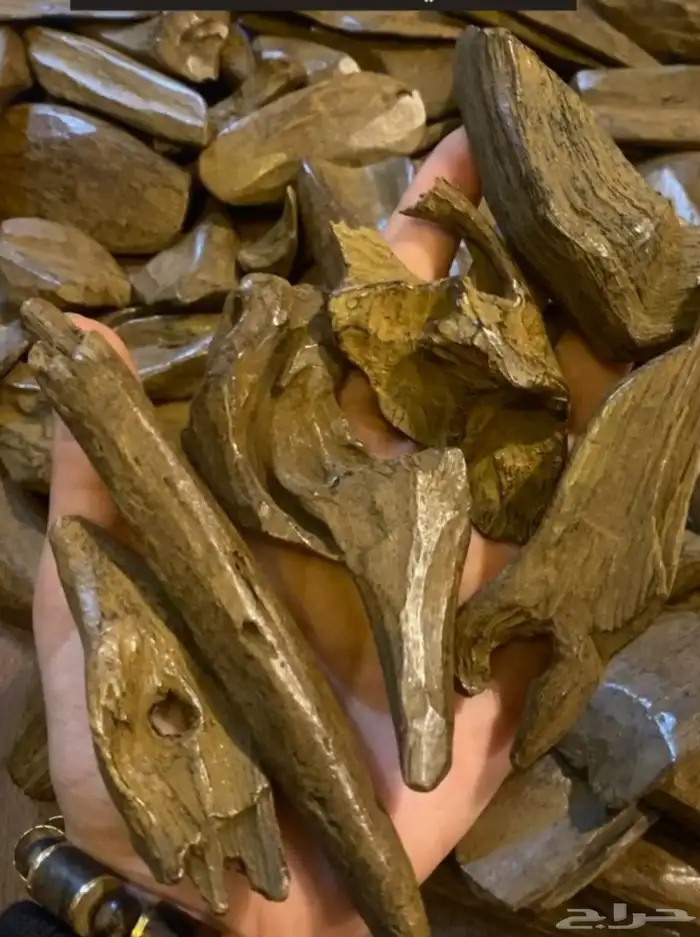 علمتنا المتميزة في الاعواد المحسنه البيور 1