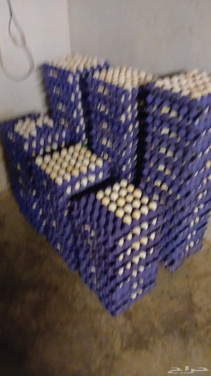 بيض مايده بلدي انتاج يومين من المزرعه 0