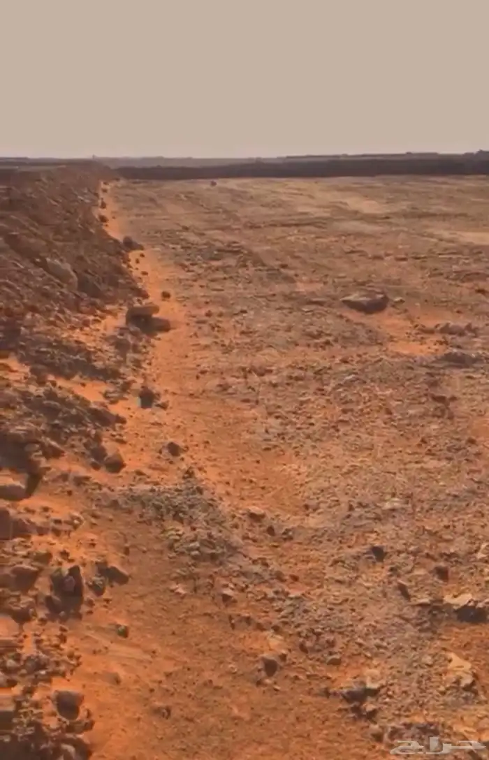 عقم للبيع قصيعه الخرج 1