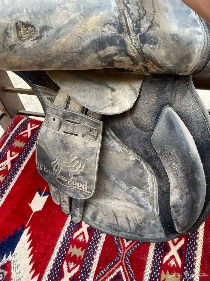 سرج للبيع جديد ماركب فوق الخيل إلا مرتين على السوم 5