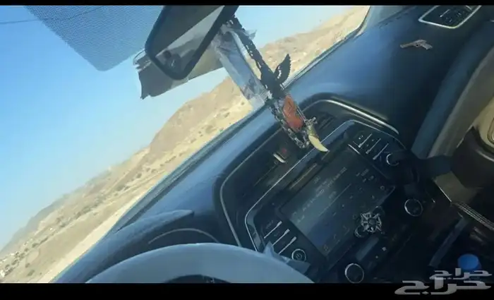 مكسيما لبببيع 10