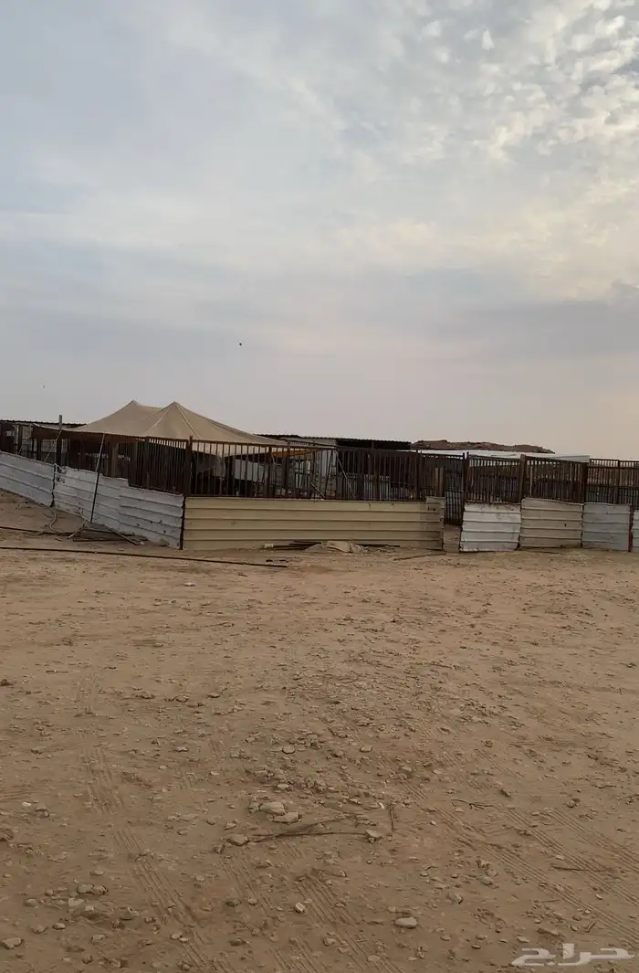 شبك غنم للإيجار شرق الرياض مفرق رماح 2