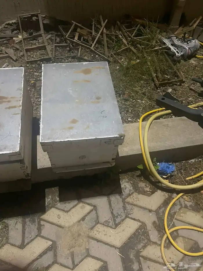 خلايا نحل للبيع افرنجي 8 بروز 3