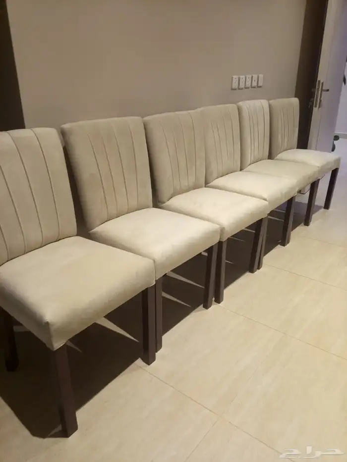 تنظيم حفلات ومناسبات ويوجدخيم ويوجد كرسي ملكي وزل ملكي 35