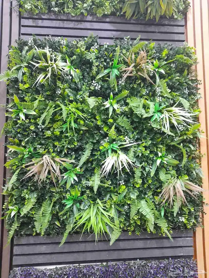 مشتل زراعي 6