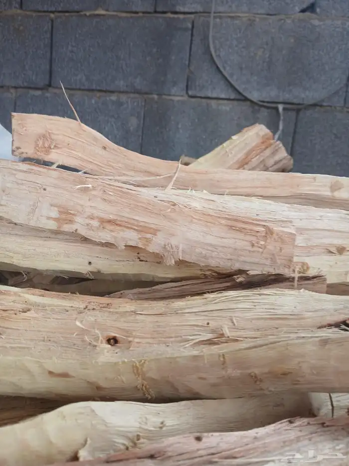 حطب طلح سوداني الدمازين والشاف 2