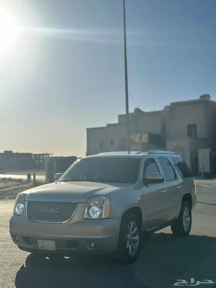 دينالي 2010 15