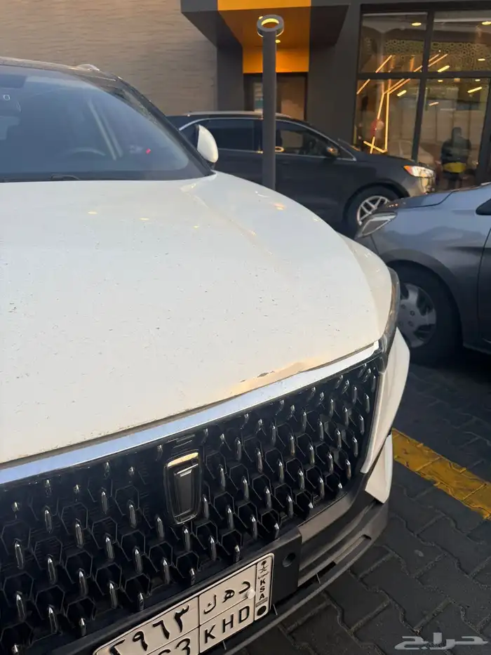 فاو بيستون T77 7