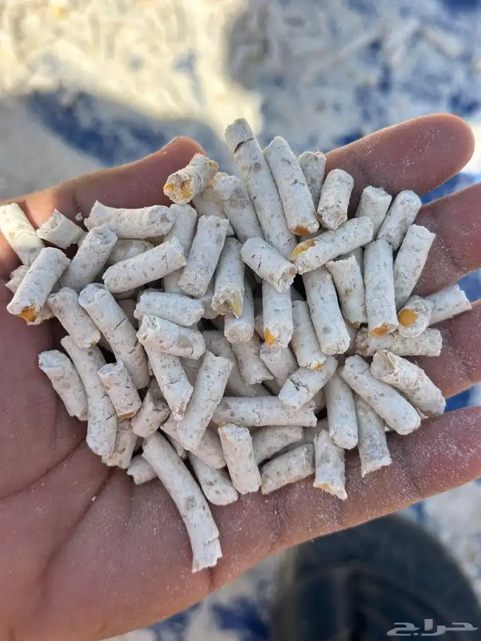 مكعب مخلوط طحين ذرة صفراء ملح نخالة 1