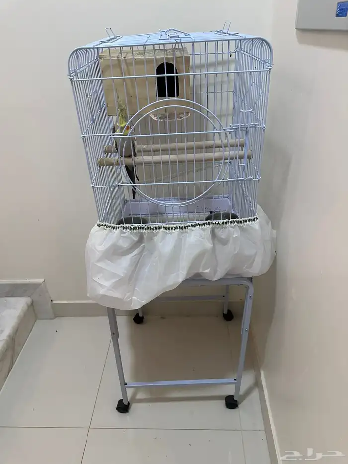 زوجين كروان للبيع 0