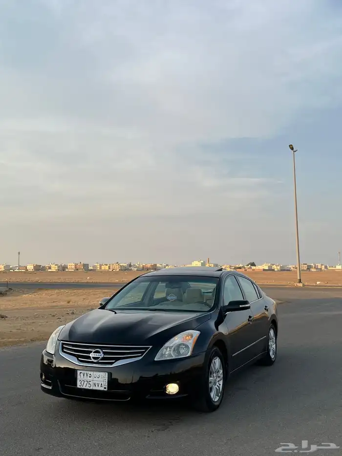 التيما 2010 13