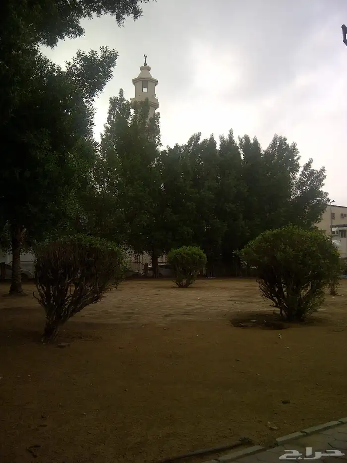 بلاك بيري تورش للبيع نظيف وشغال بحالة ممتازة 11