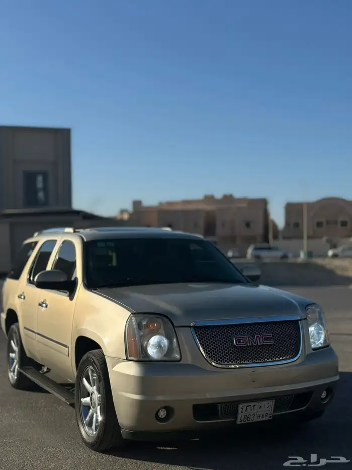 دينالي 2010 17