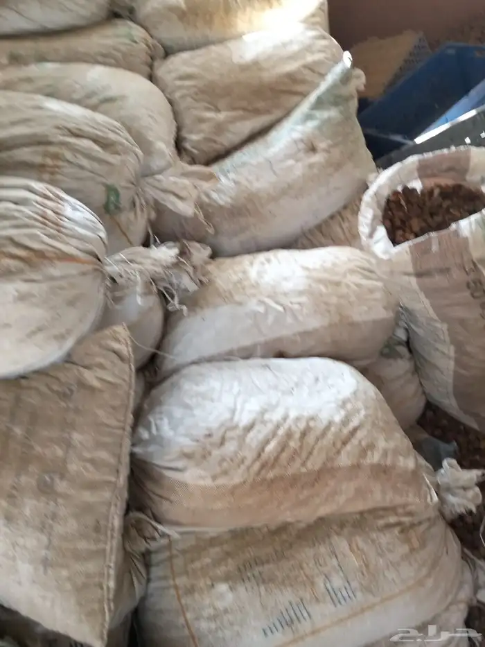 تمر علف ناشف 0