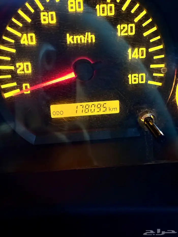 دينا ونش للبيع . 6