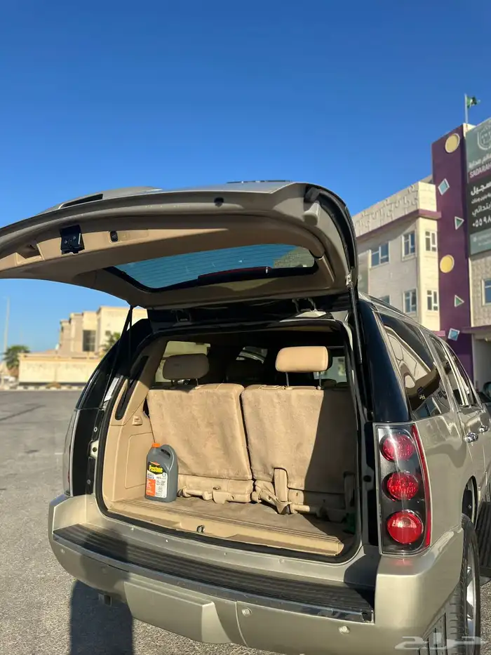 دينالي 2010 10