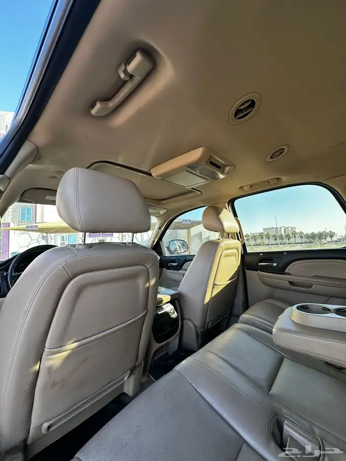 دينالي 2010 13