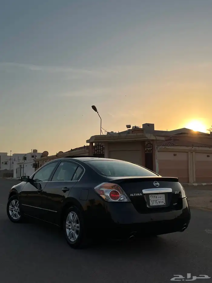 التيما 2010 14