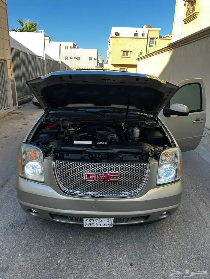 دينالي 2010 23