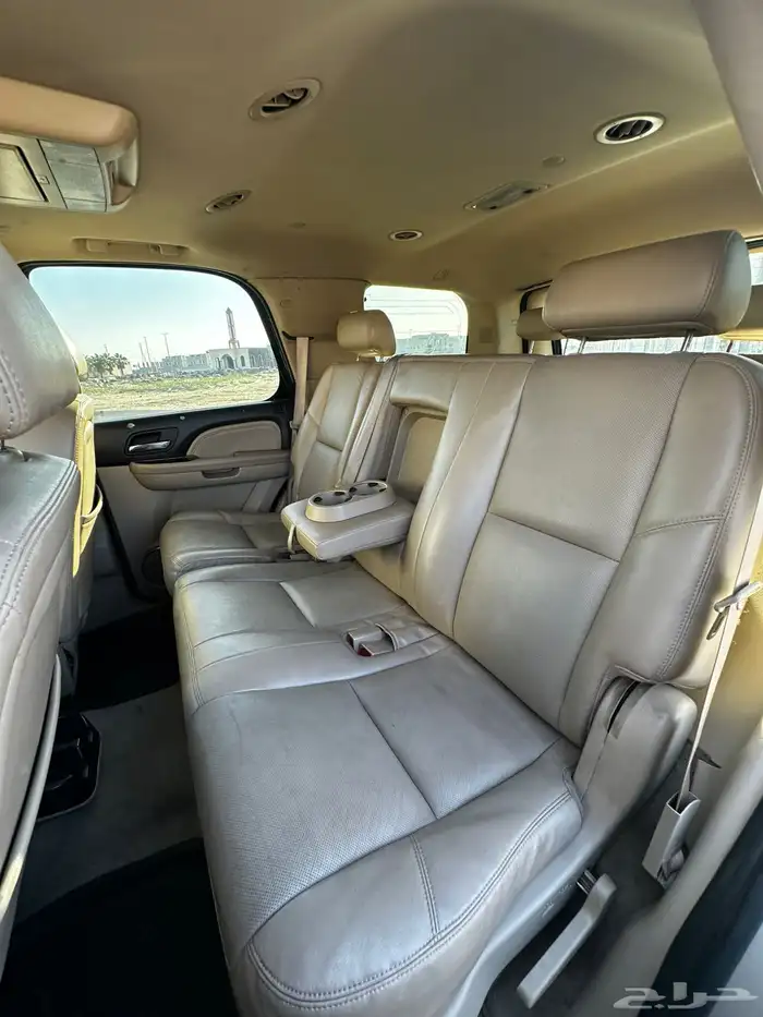 دينالي 2010 12