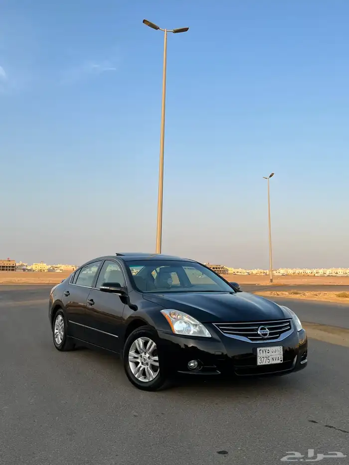 التيما 2010 11