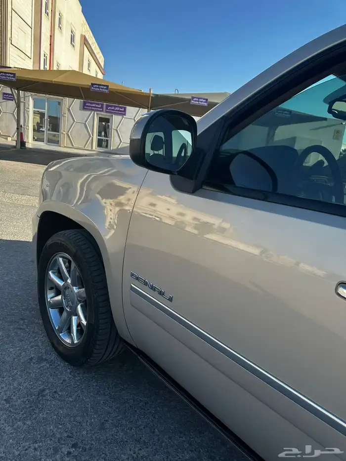 دينالي 2010 24