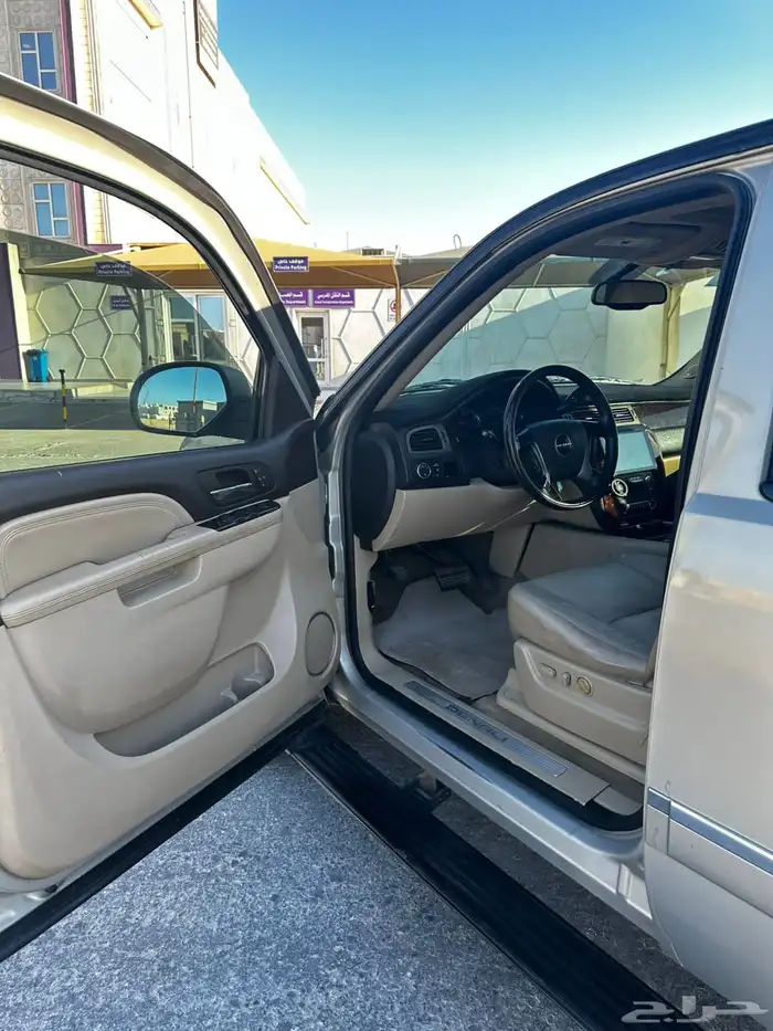 دينالي 2010 14