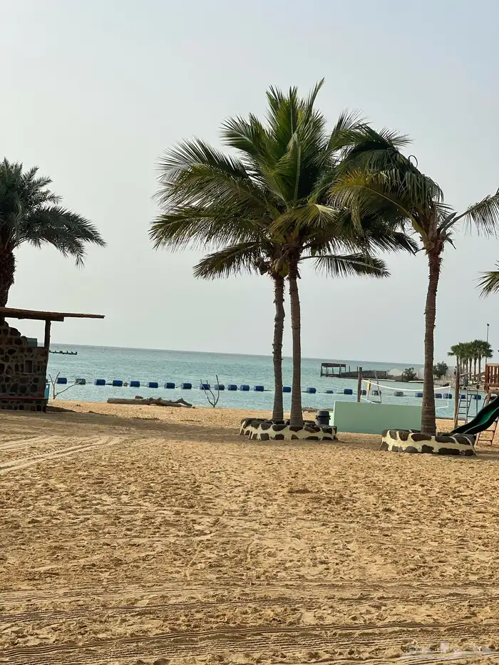 عرض درة العروس الليلة 599 فيلا ايجار 1