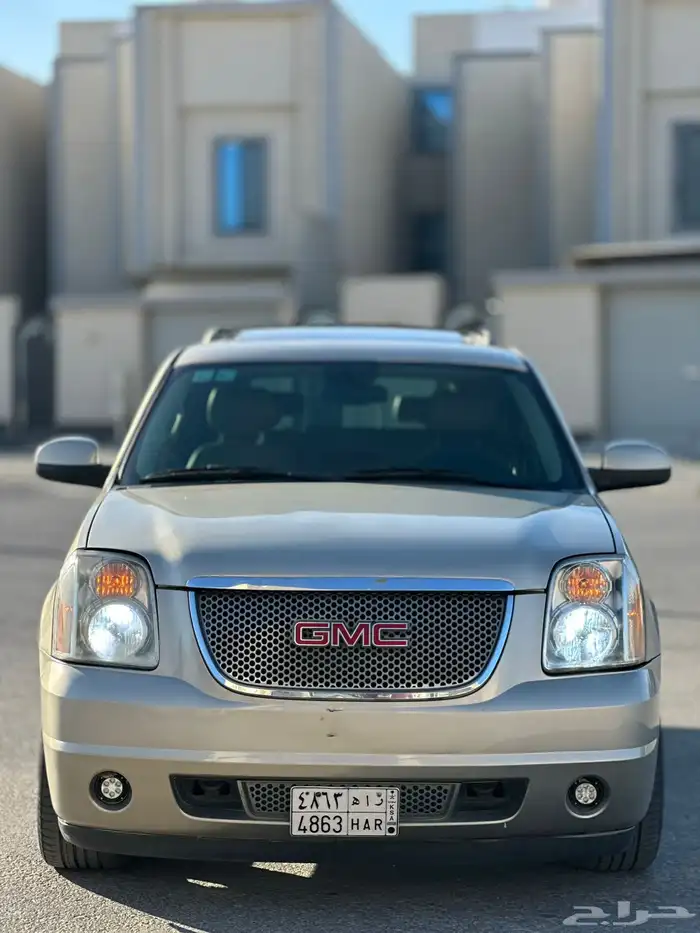 دينالي 2010 16