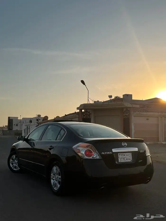 التيما 2010 12