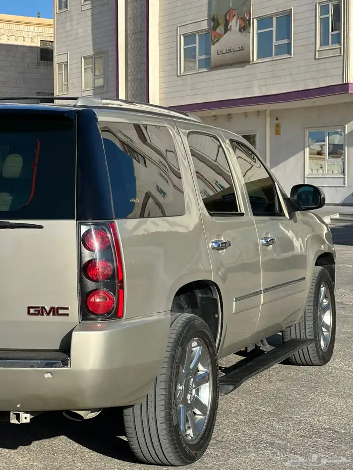 دينالي 2010 19