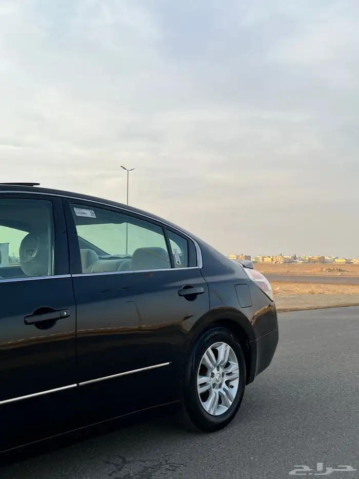 التيما 2010 15