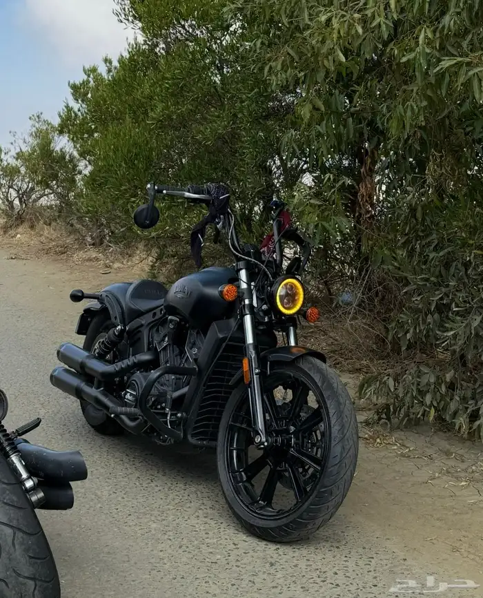 اندينان سكاوت indian scout rogue 2023 1