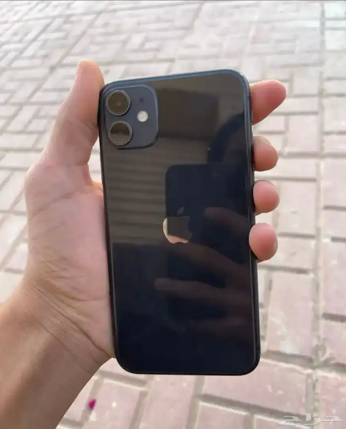 ايفون 11 العادي 3