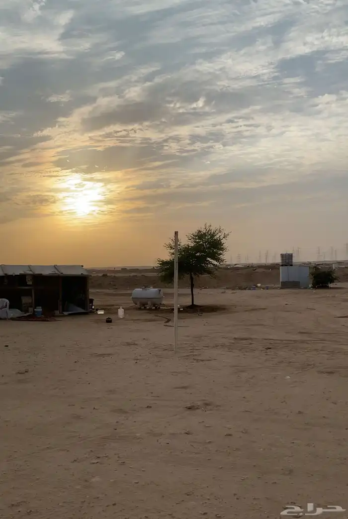 شبك غنم للإيجار شرق الرياض مفرق رماح 0