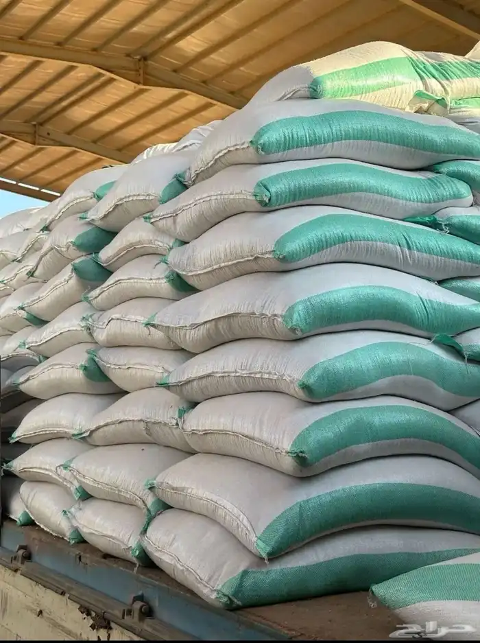 شعير سداسي 0