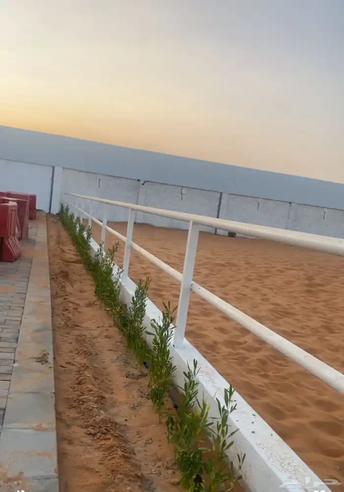 مربط السلطان 5