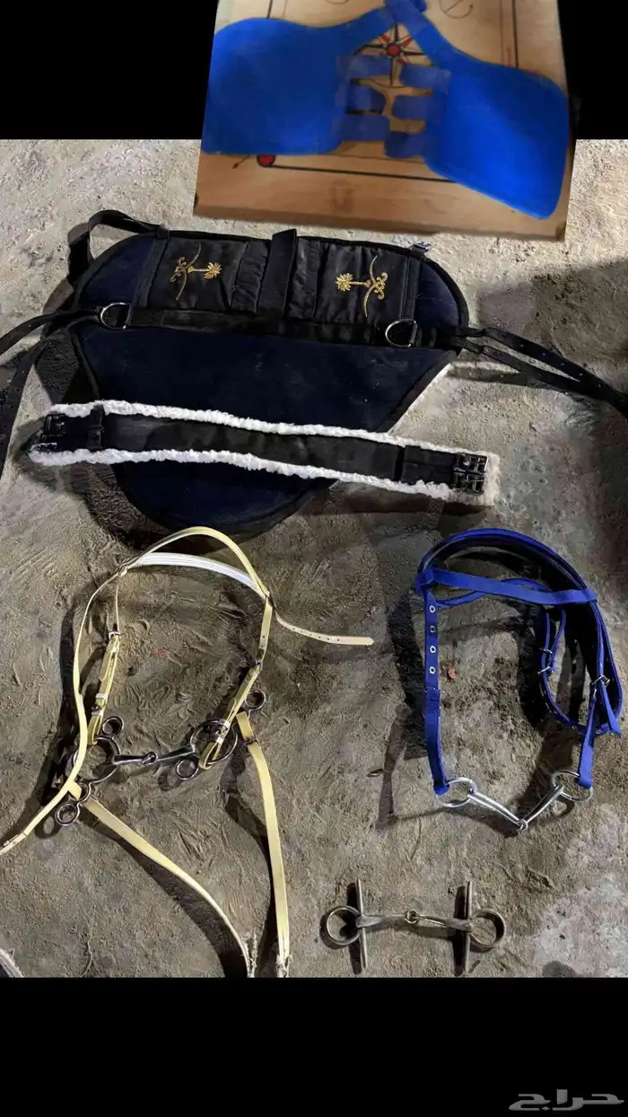 للبيع مستلزمات خيل 0
