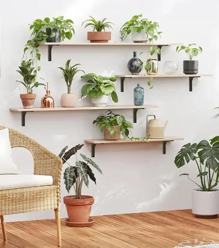 رفوف جدران جداريه خشب 0