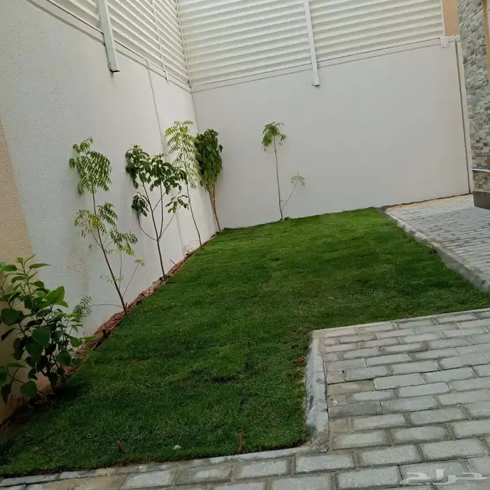 ثيل طبيعي سى 2000 3