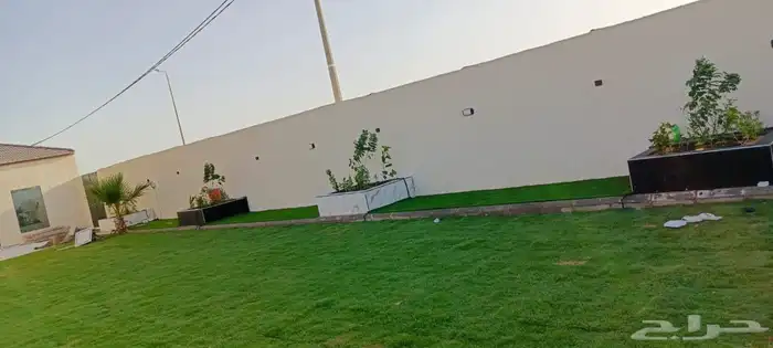 ثيل طبيعي سى 2000 2