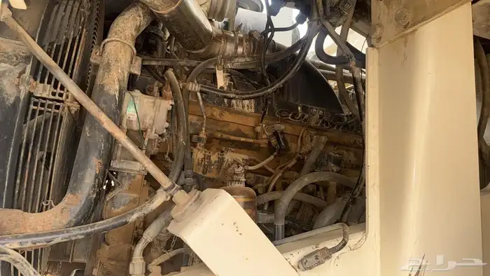 دمبرز عدد(2) 11