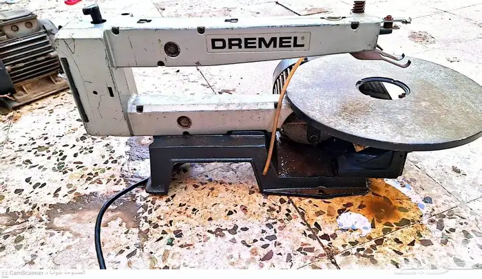 دنموهات للبيع 3