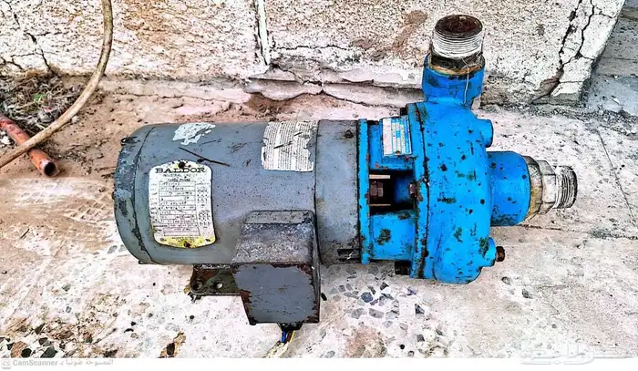 دنموهات للبيع 2