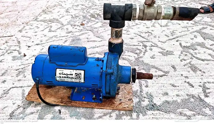 دنموهات للبيع 4