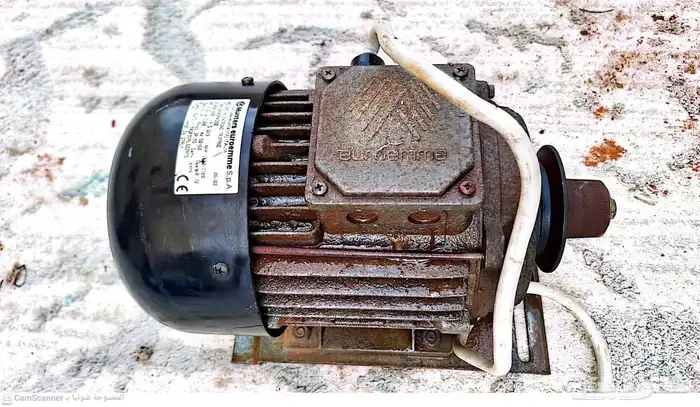 دنموهات للبيع 6