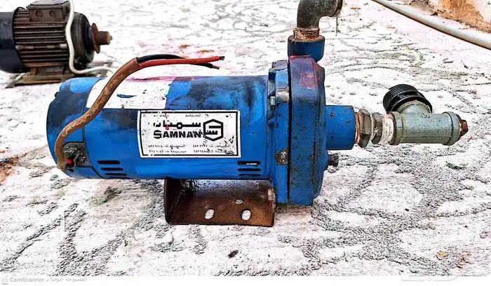 دنموهات للبيع 1