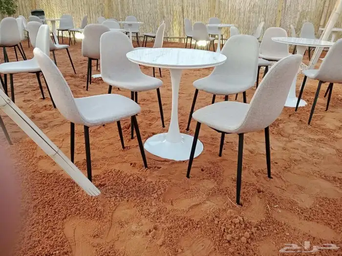 تاجير كنب تاجير كنب_للايجار 5